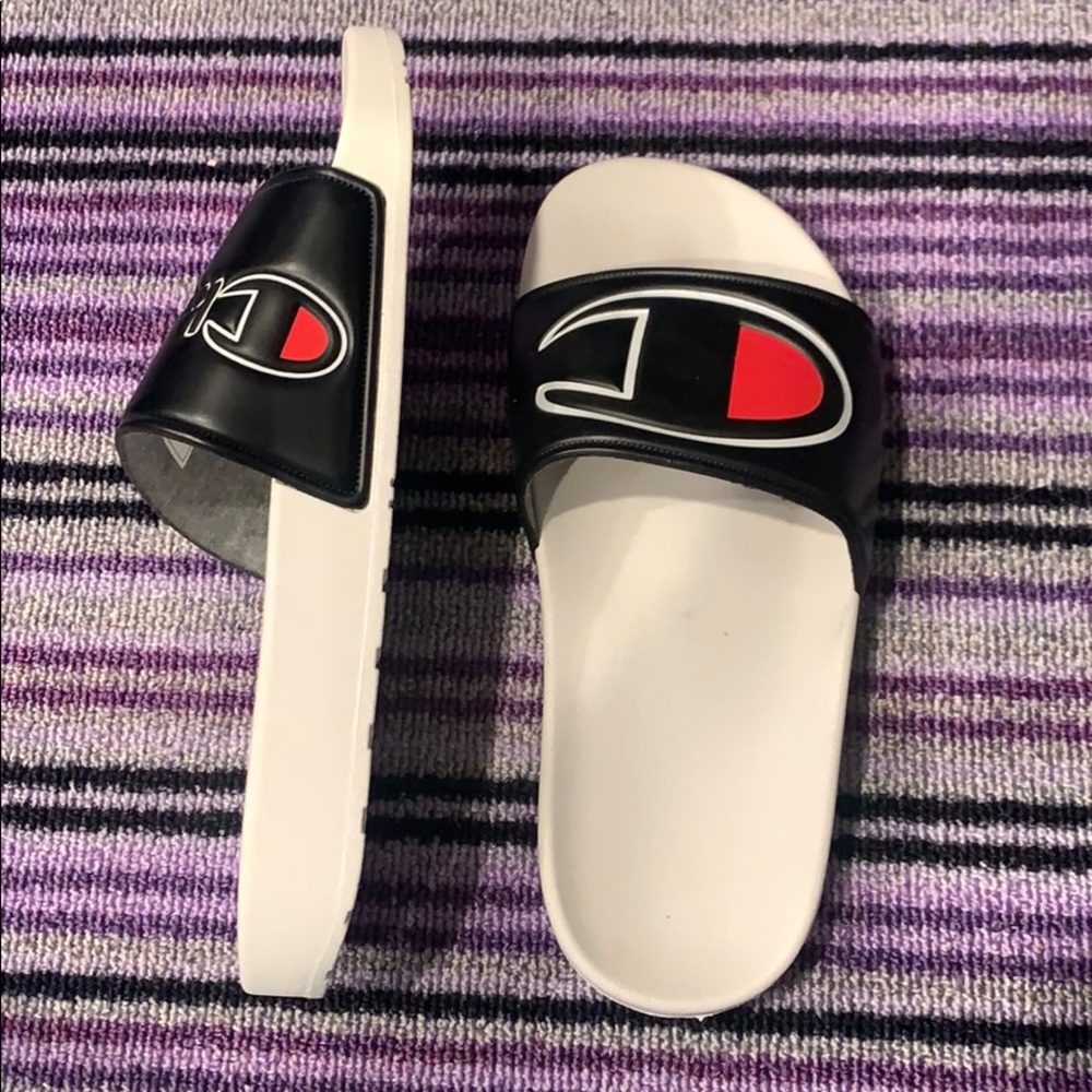 Champion pool slides - Picture 3 of 3